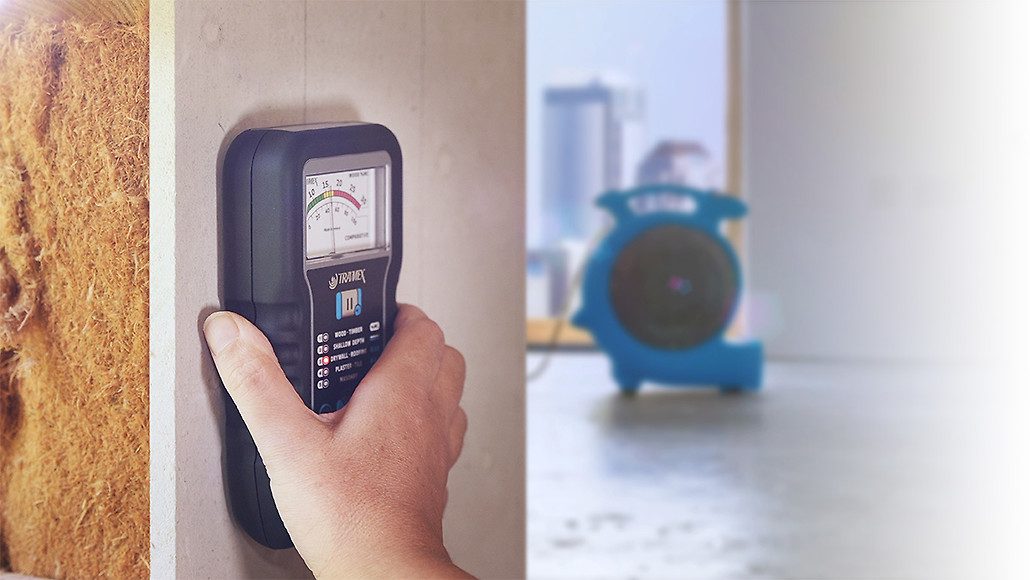 Moisture inspection and assessment in a New York property